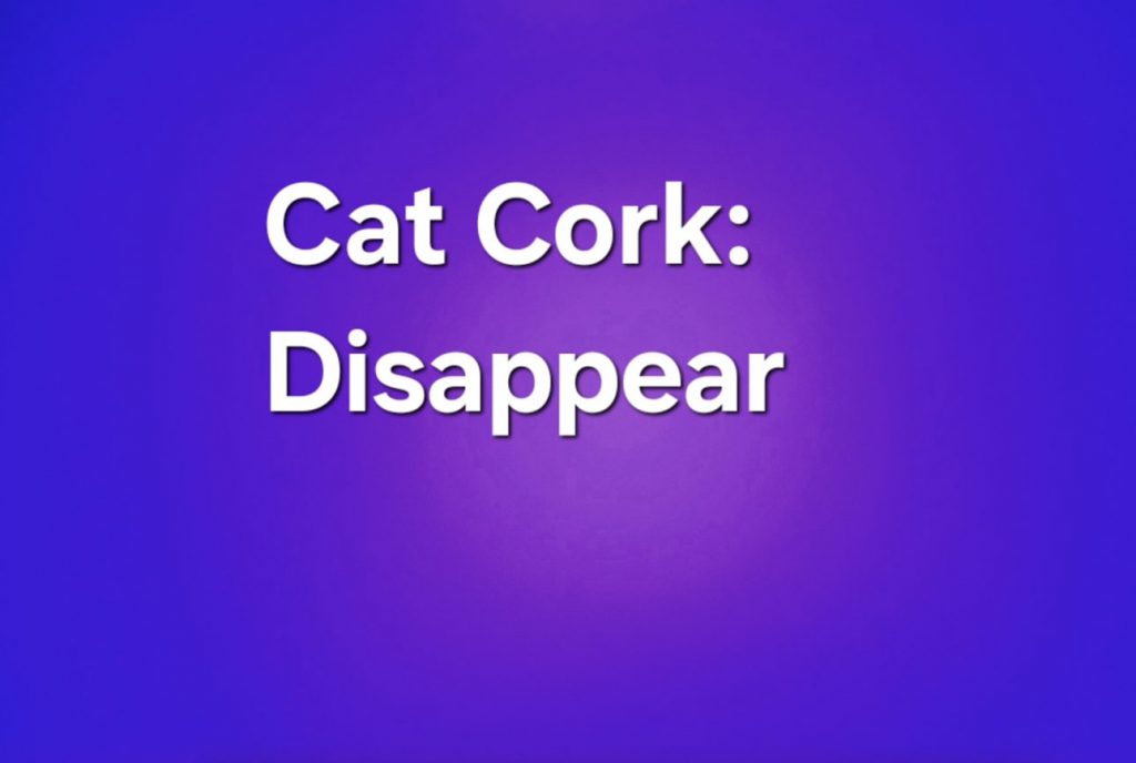 Explorez les Profondeurs de 'Disappear' de Cat Cork : Une Odyssée Brutale et Intense...
