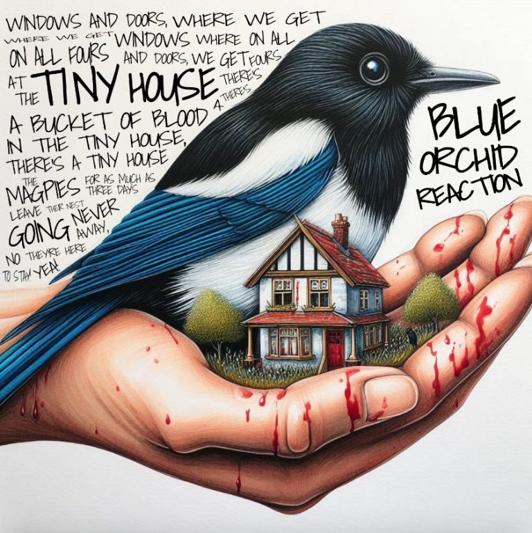 « Tiny House », L&rsquo;énergie brute de Blue Orchid Reaction en 2 minutes et 12 secondes.