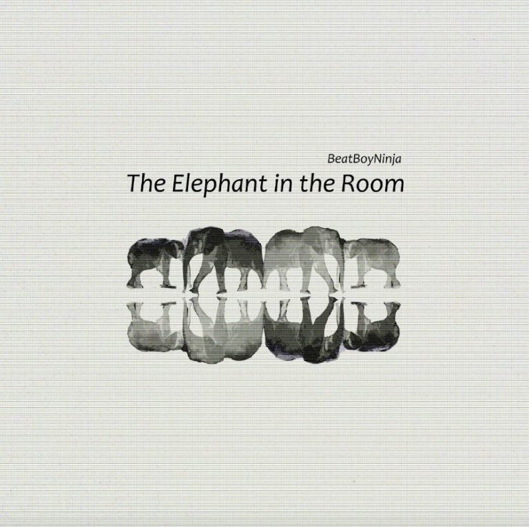« The Elephant in the Room », L&rsquo;album électro qui redéfinit les codes.