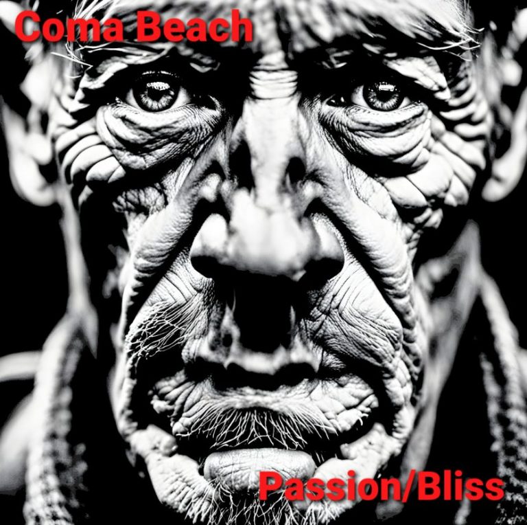 « Passion/Bliss », Un voyage émotionnel signé Coma Beach.