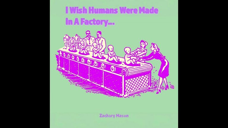 « I Wish Humans Were Made In A Factory… », Zachary Mason revisite le rock des années 90 avec humour.