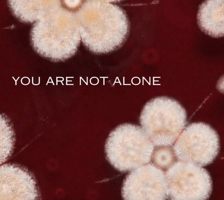 ESTRADA Music Project : un cri d’espoir avec le single bouleversant « You Are Not Alone ».