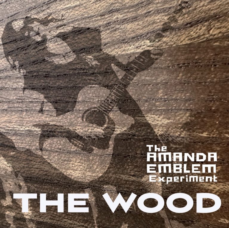 The Wood : L’Alt-Country poétique et immersif de The Amanda Emblem Experiment