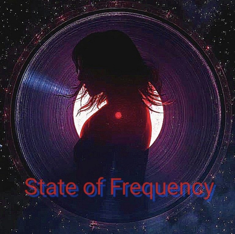 L’entretien Exclusif Avec State of Frequency