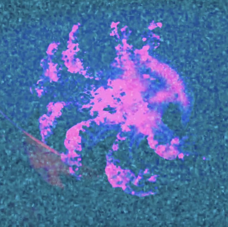 Patrick T Jenkinson frappe fort avec “Apocalypse”, un hymne indie entre intensité et clairvoyance