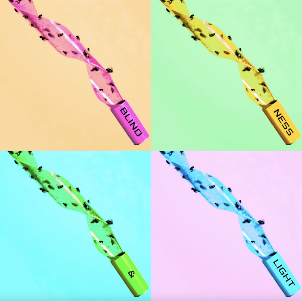 « Fly Paper » de Blindness & Light est un single indie rock énergique qui puise dans l’esprit garage-punk des années 60 avec une liberté et une urgence modernes.