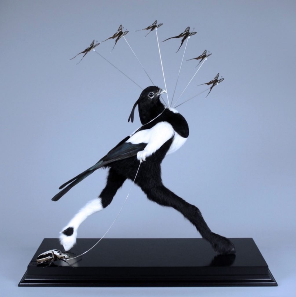 « THE PEOPLE » de THORN est un single art rock sombre et immersif, mêlant guitares saturées, synthés industriels et samples percutants pour une expérience sonore intense.