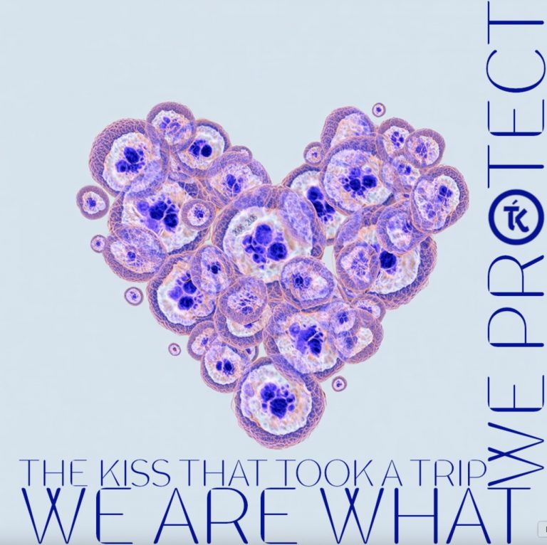 The Kiss That Took A Trip célèbre 20 ans de parcours avec « We Are What We Protect »