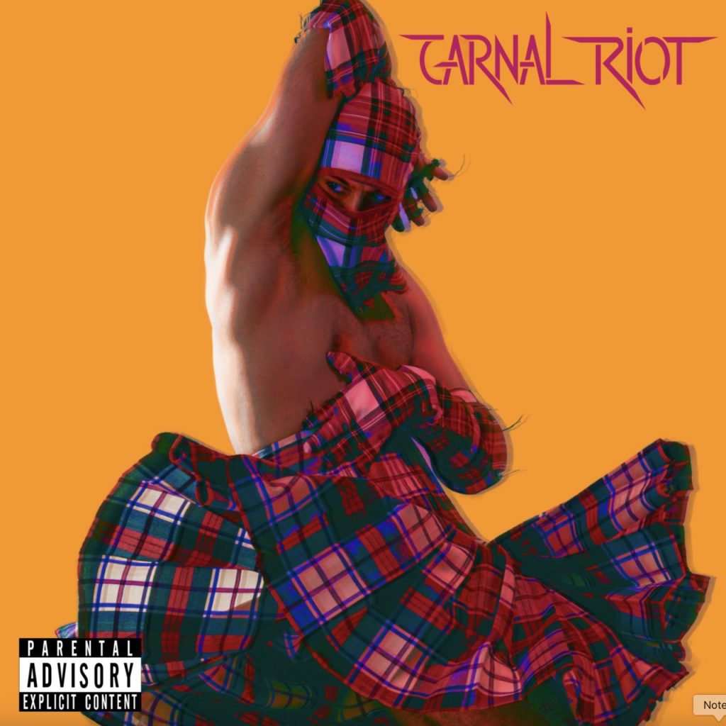 L’EP Carnal Riot de MERTDER mêle énergie brute, influences électroniques et provocation artistique dans un univers alternatif audacieux.