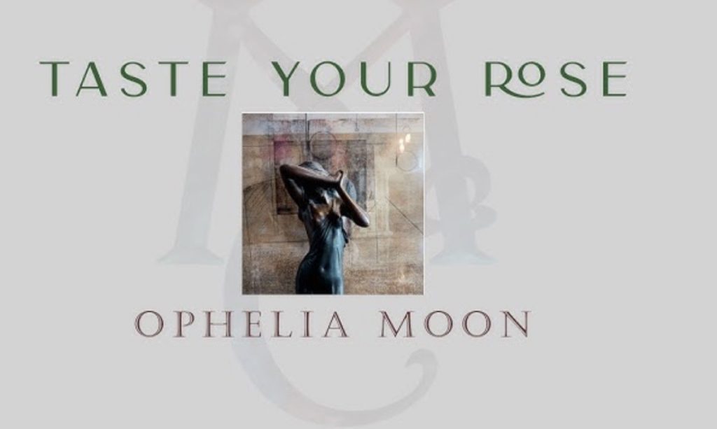 Ophelia Moon dévoile avec « Taste Your Rose » un single à la fois délicat et intense, porté par une interprétation expressive et une écriture sensible.
